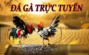 Cách Chơi Đá Gà WS168 Tại VN88 Hiệu Quả Nhất